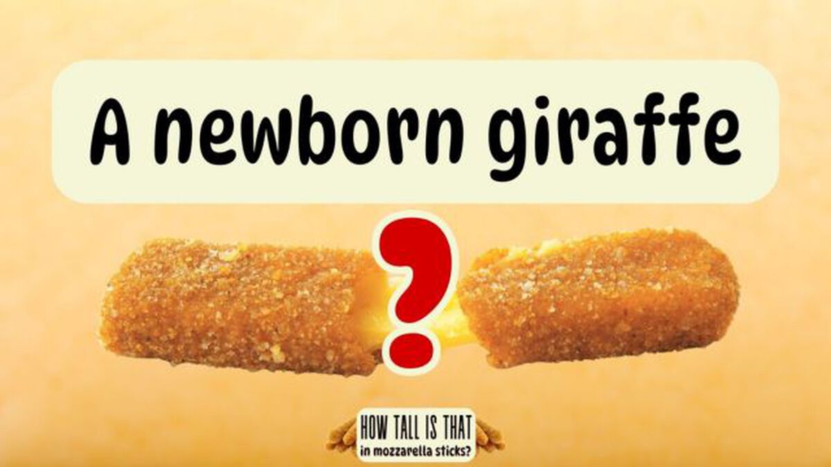 How Tall is That in Mozzarella Sticks? image number null